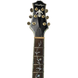 Електрогітара Prestige Heritage Hollow Body&nbsp; PHHB фото 3